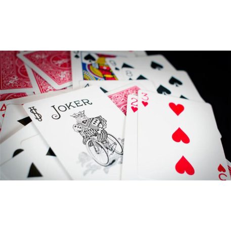 Bicycle 807 Tuck Rider Back Standard Index kártya