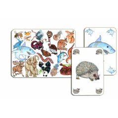 Djeco Zanimatch társasjáték