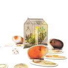 Marbushka Piggily társasjáték